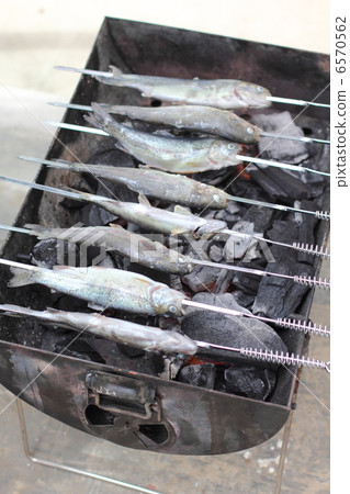 Grilled rainbow trout 6570562
