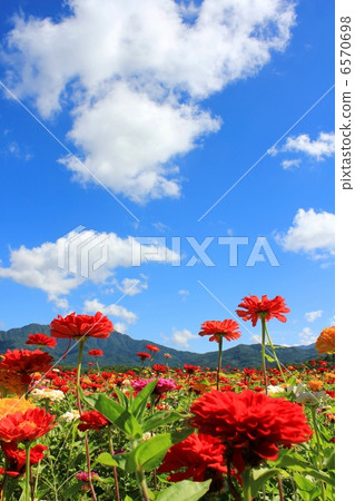 Summer sky and Besshi 6570698