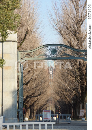 東京大學門 東京大學門 6571403