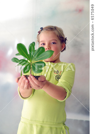 little girl holding small plant little girl holding small plant 6575849