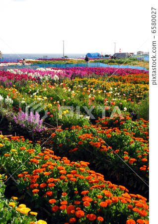 Chikura花園 6580027