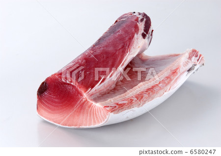 在腹部的印地安金槍魚 6580247