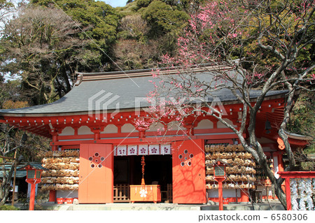 Ebata Tenshin公司 6580306