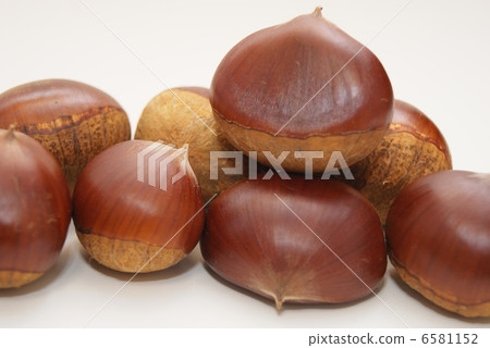 Chestnut  6581152