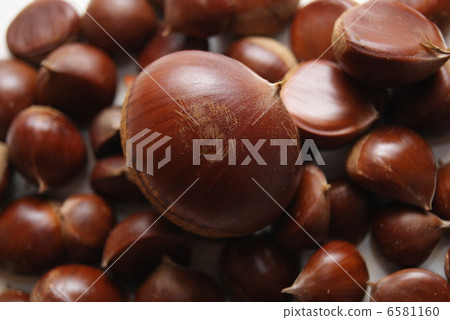 Chestnut  6581160