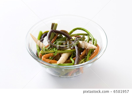 野生蔬菜 6581957