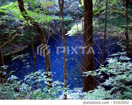 Zuiko Aoike Zuiko Aoike 6582002