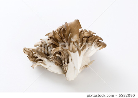 舞茸蘑菇 6582090