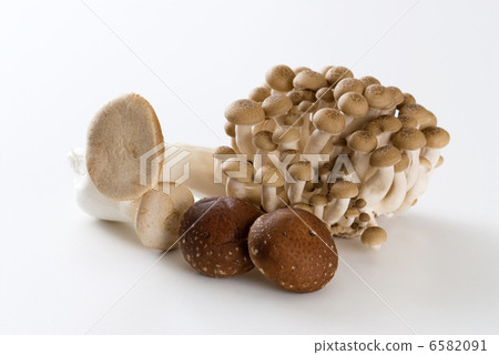 Three mushrooms 6582091