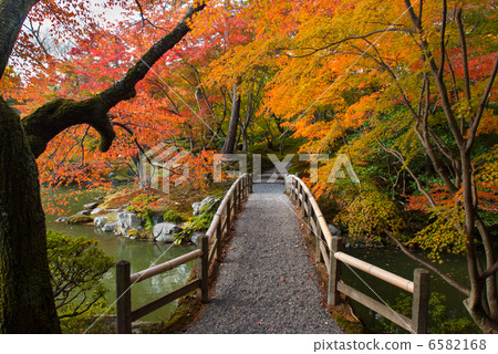 秋天葉子橋樑在Senjong故宮在Nankei 秋天葉子橋樑在Senjong故宮在Nankei 6582168