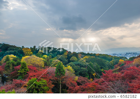 Kiyomizu Temple Kinsetsuki Kiyomizu Temple Kinsetsuki 6582182