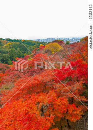 Kiyomizu Temple Kinsetsuki Kiyomizu Temple Kinsetsuki 6582183