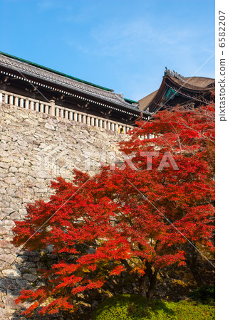 清水寺 清水寺 6582207