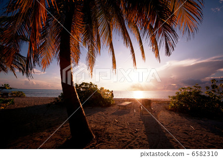 Tropical beach 6582310