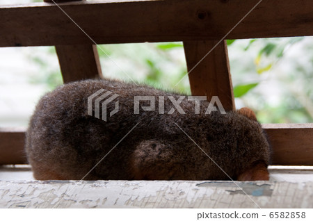 突然在休息室 6582858