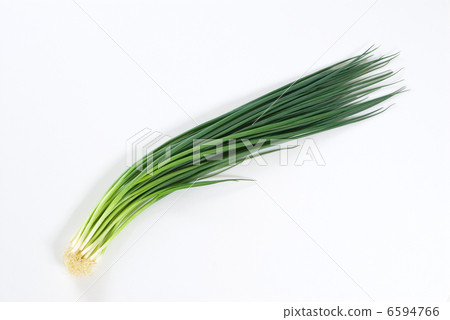 Blue onion 6594766