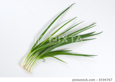 Blue onion Blue onion 6594767