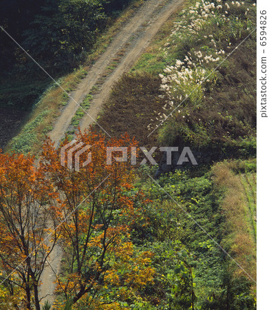 Fall mountain super forest road in autumn Fall mountain super forest road in autumn 6594826