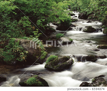 Fresh green flow Fresh green flow 6594874