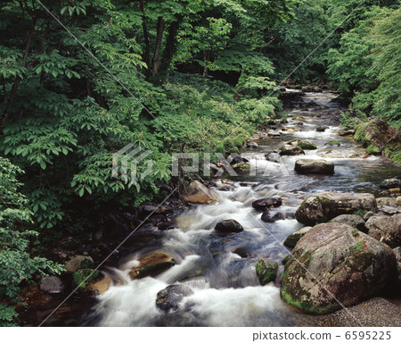 Fresh green flow Fresh green flow 6595225