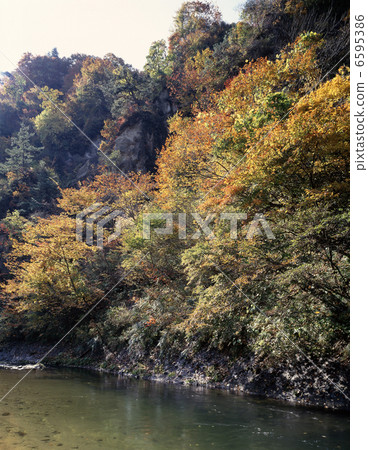 秋葉Naruko峽谷 秋葉Naruko峽谷 6595386