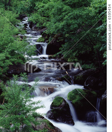 Fresh green flow Fresh green flow 6595454