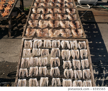 Dried squid beach 6595565