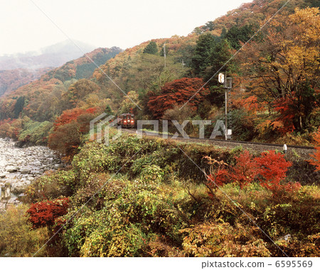 Watarase Valley Shindo 6595569