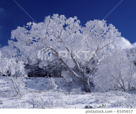 與灑冰的Dake蛋糕 6595657