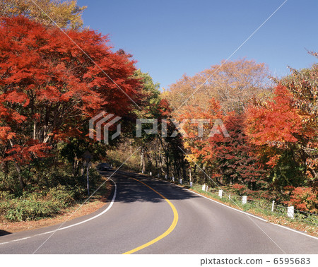 Autumn leaves of the day salt and leaves line 6595683