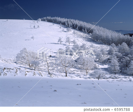 Utsukushigahara Plateau in winter Utsukushigahara Plateau in winter 6595788