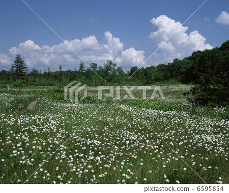 Watasugi社區 Watasugi社區 6595854