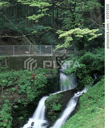 Kanjima Kanji Kanjima Kanji 6595930