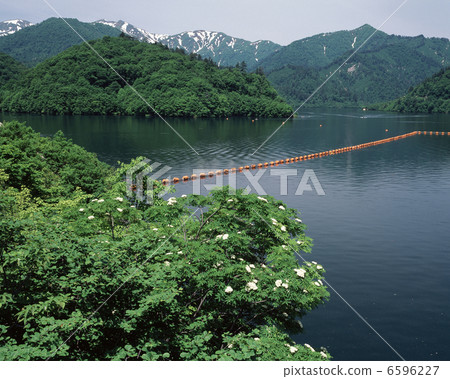Yagisawa Dam Yagisawa Dam 6596227