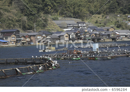 在Ine的Funaya 6596284