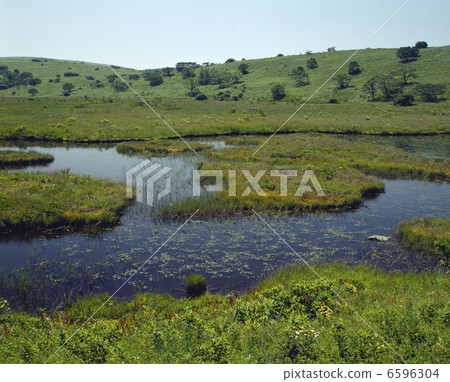 Yashima Mogara 6596304