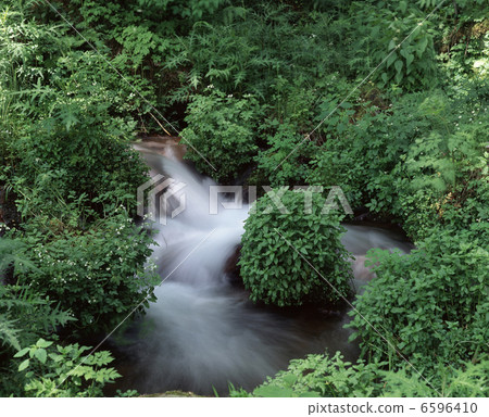 新鮮的綠色和流動 新鮮的綠色和流動 6596410