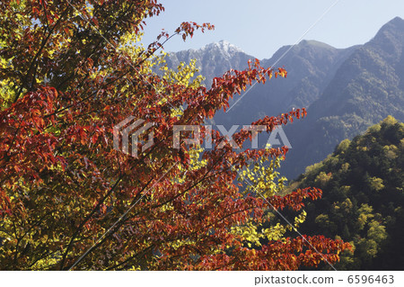 Autumn leaves and South A · Kai Komagatake 6596463