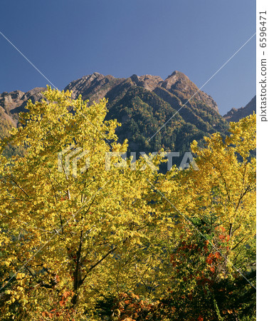 Southern Alps · Saake Southern Alps · Saake 6596471