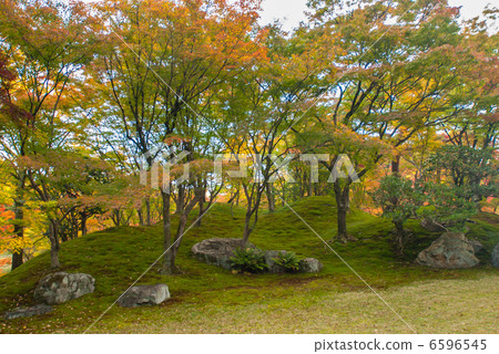 森洞故宮 6596545