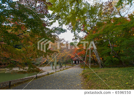 Sendu Imperial Palace Okaedei和Sakura Baba Sendu Imperial Palace Okaedei和Sakura Baba 6596550