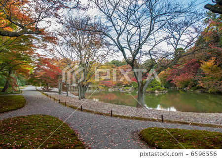 Cherry Baba in Senko Imperial Palace in Nankai 6596556