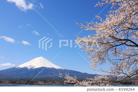 Fuji blessed with the sunlight of spring Fuji blessed with the sunlight of spring 6599264