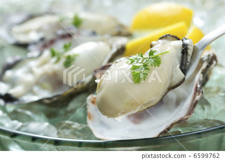 Oyster Oyster 6599762