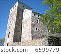 Turku Castle 6599779