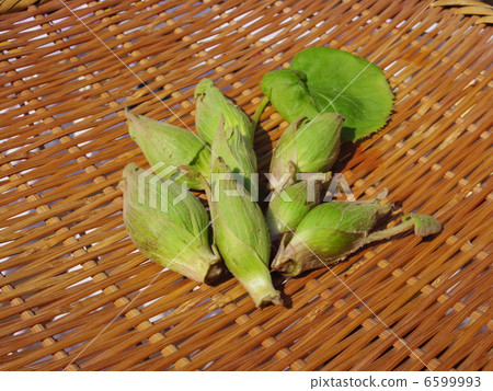 春天的味道 春天的味道 6599993