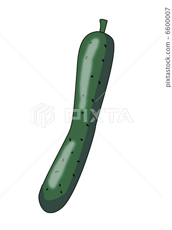 Cucumber 6600007