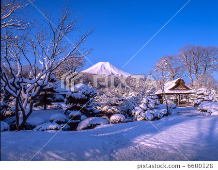 忍野雪早晨 6600128