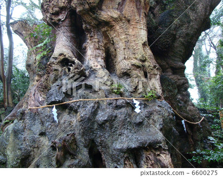小宮神社 6600275