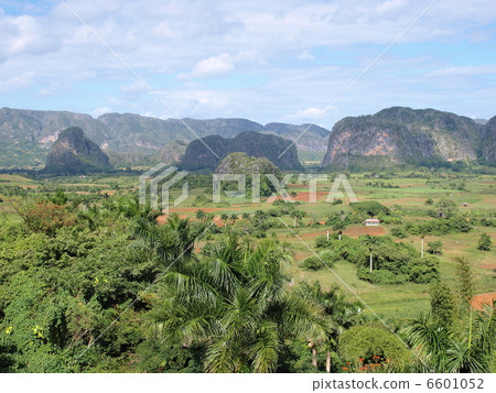 世界遺產ViñalesValley（古巴） 6601052
